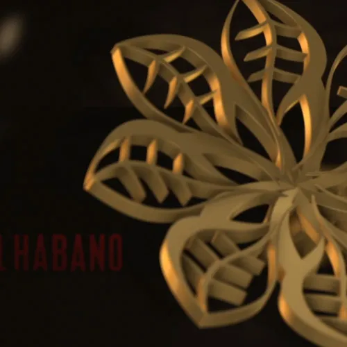 Festival Habano — Making Of