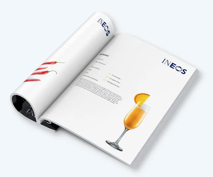 INEOS IN.CARE Sales Brochures — project detail