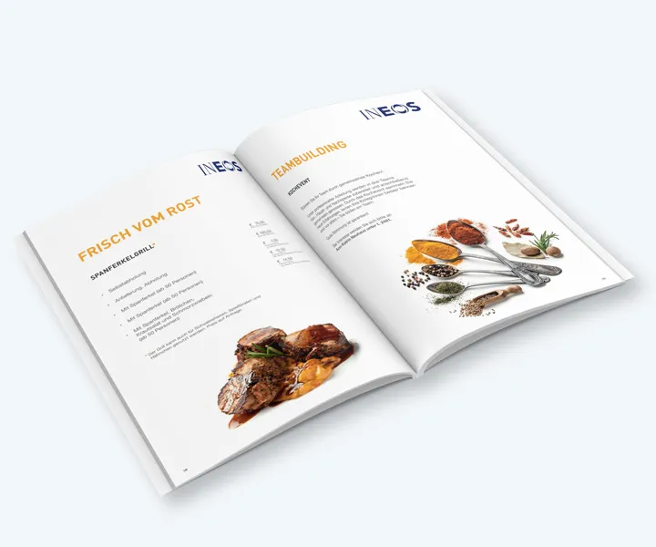 INEOS IN.CARE Sales Brochures — project detail