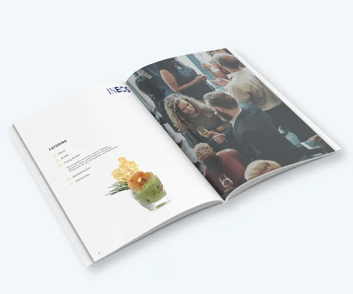 INEOS IN.CARE Sales Brochures — project detail