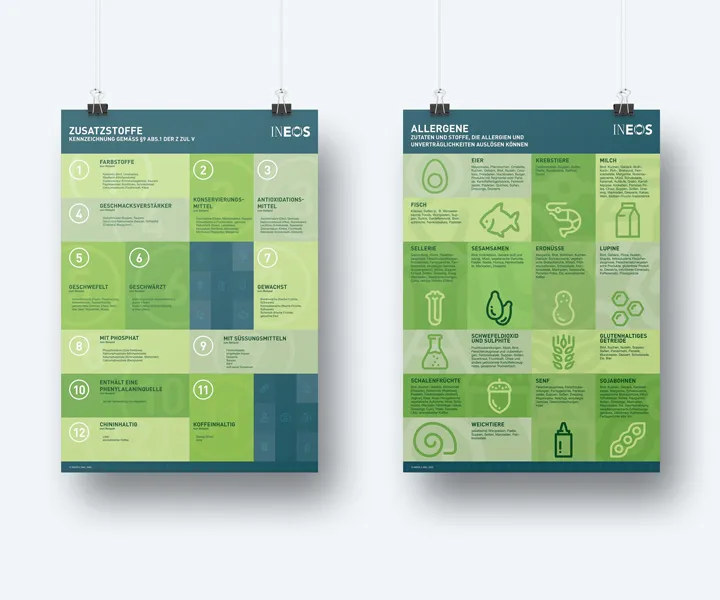 INEOS Safety | Health | Environment — project detail
