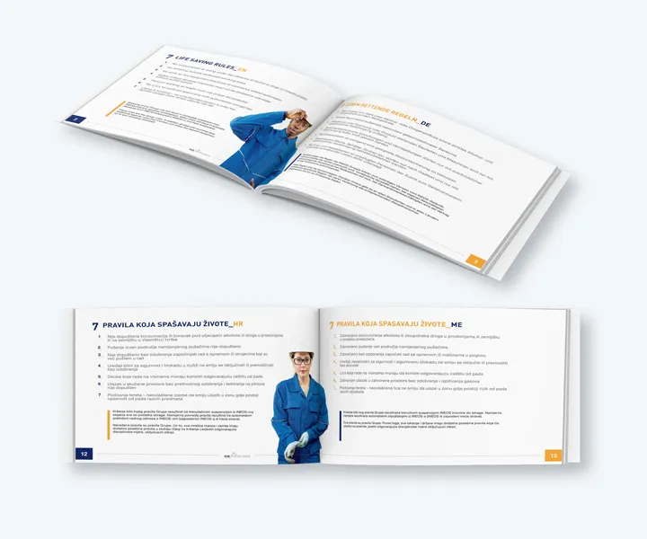 INEOS Safety | Health | Environment — project detail