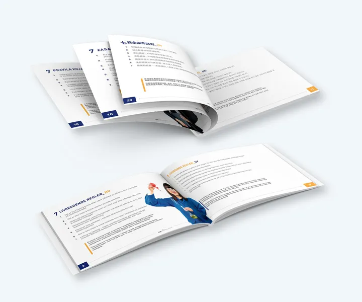 INEOS Safety | Health | Environment — project detail