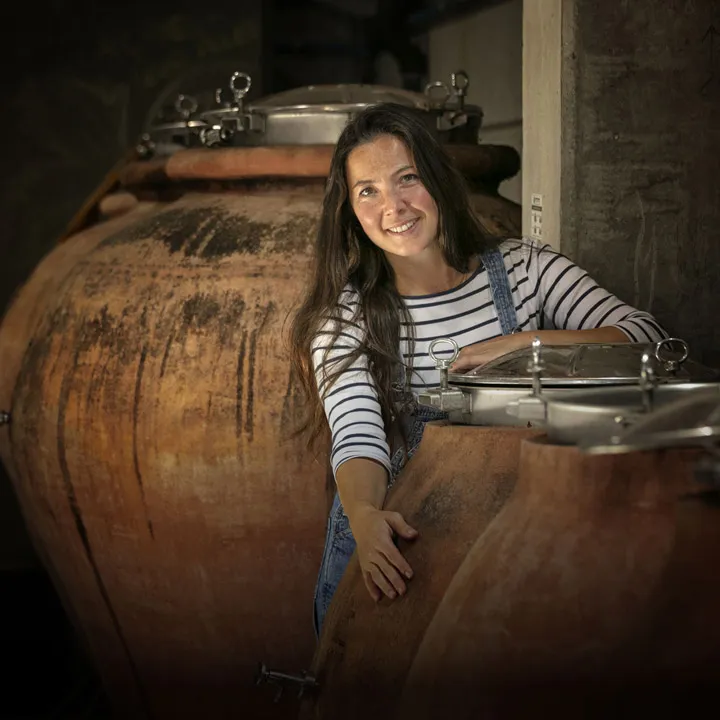 Terroir Sense Fronteres — project detail