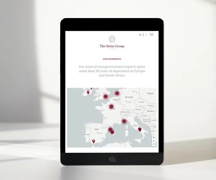 The Stein Group — project detail